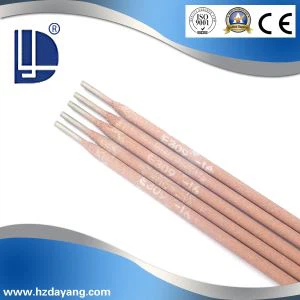 Hersteller-Anlage Edelstahl ElectrodeAWS E309-16 mit hoher Qualität