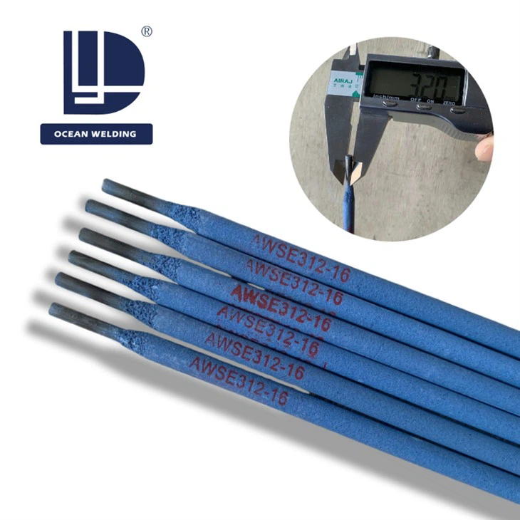 Stainless Steel Electrodes